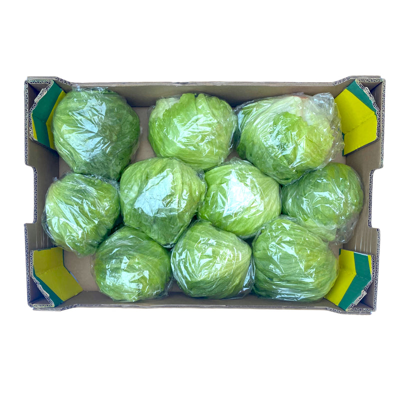 Iceberg Lettuce Box of 10