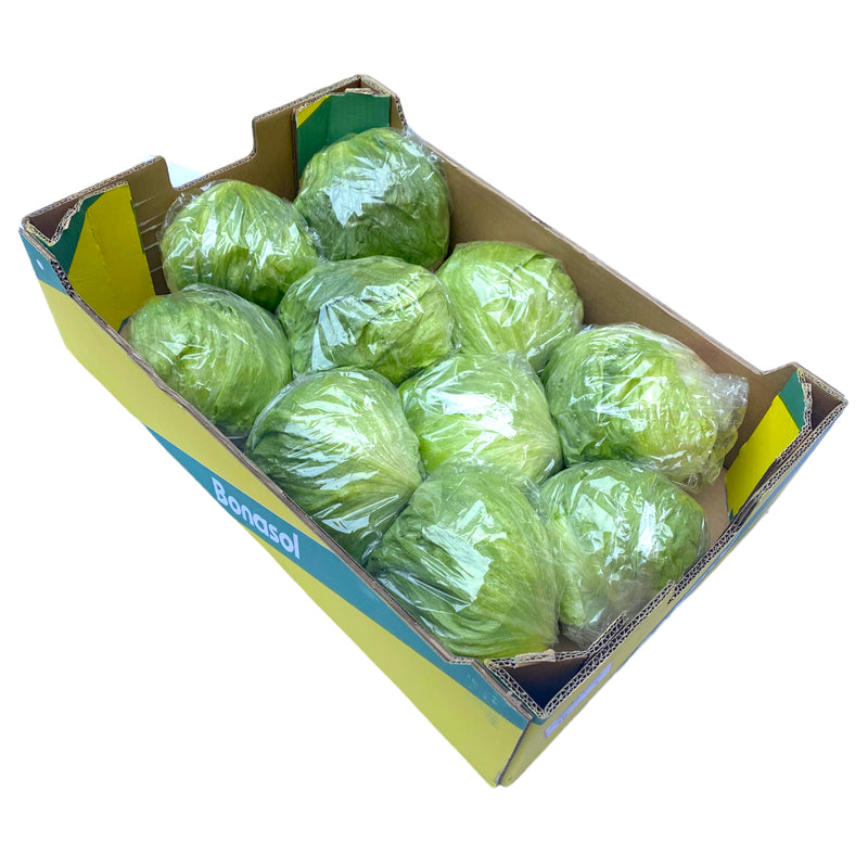 Iceberg Lettuce Box of 10