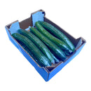 Cucumber Box of 12