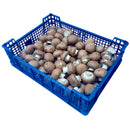 Button Mushroom 2.5kg