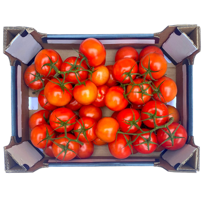 Vine Tomatoes 5kg