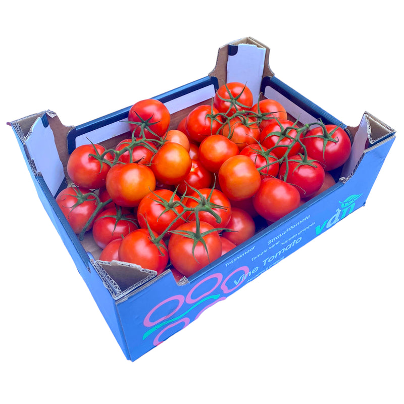 Vine Tomatoes 5kg