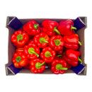 Red Peppers 5kg