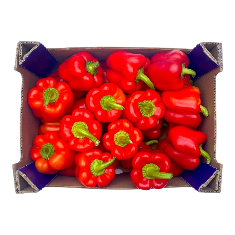 Red Peppers 5kg