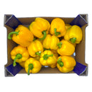 Yellow Peppers 10kg