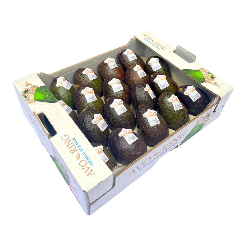 Avocado In Box Avocados Box of 18