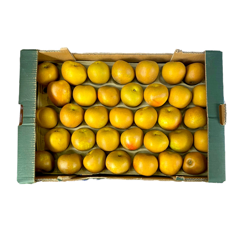 Russet Apples 12.5kg