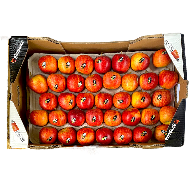 Royal Gala Apples 12.5kg