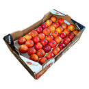 Royal Gala Apples 12.5kg