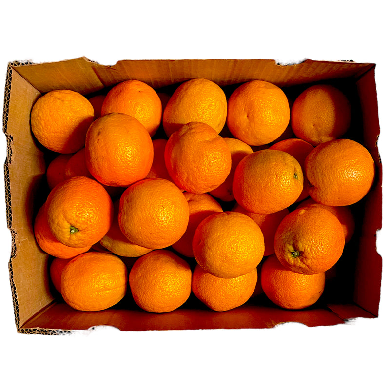 Large Orange Box of 72