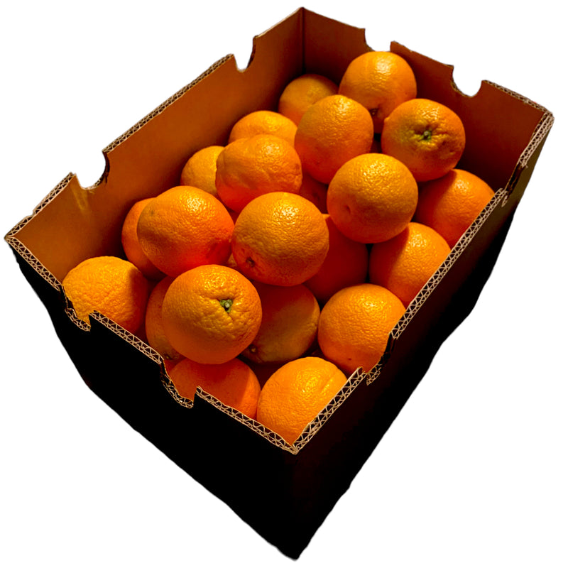 Large Orange Box of 72