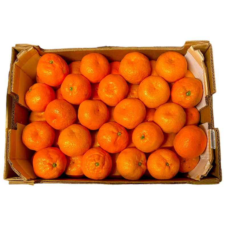 Satsumas 10kg