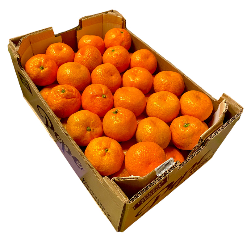 Satsumas 10kg