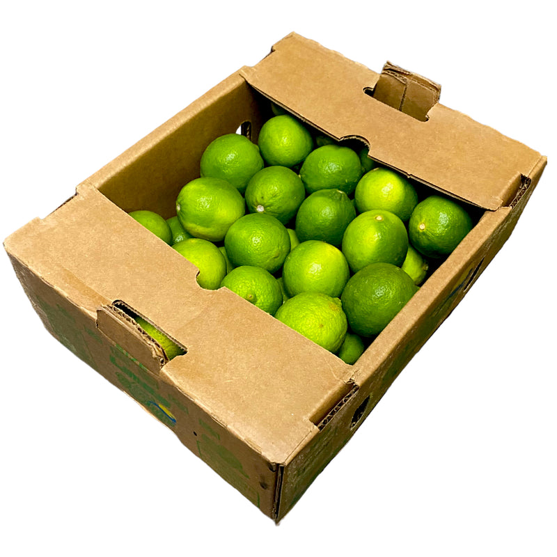 Lime x 48