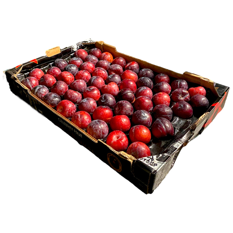 Plums 5kg