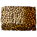 California Walnuts 25kg