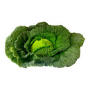Savoy Cabbage x8