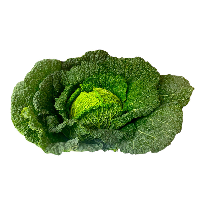 Savoy Cabbage x8