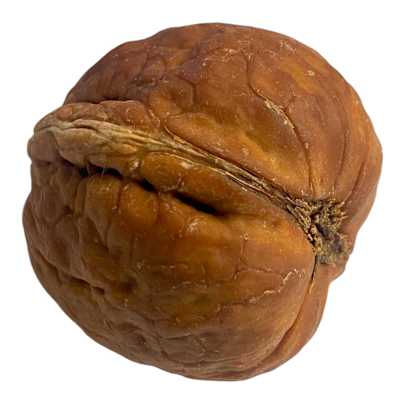 Wet Walnuts 500g