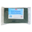Catering Scourers x 10