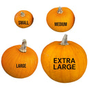 SMALL Pumpkin