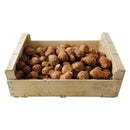 Jerusalem Artichoke Box of