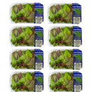 Mixed Baby Leaf Lettuce 8 x 100g