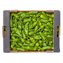 Padron Pepper Box of