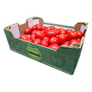 Plum Tomatoes 5kg