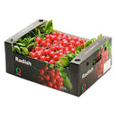 Radish Box of 15