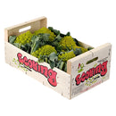 Romanesco Box