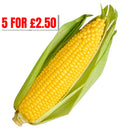 Fresh sweetcorn on the cob at Barleylands Farm Shop, Billericay, Essex