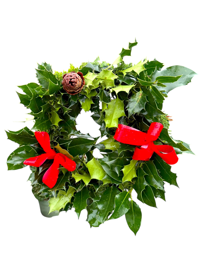 Christmas Holly Wreath / Ring