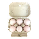 Duck Eggs 6 Pack