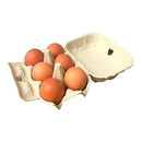 Extra Large Eggs 6 Pack