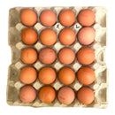 Extra Large Eggs Tray