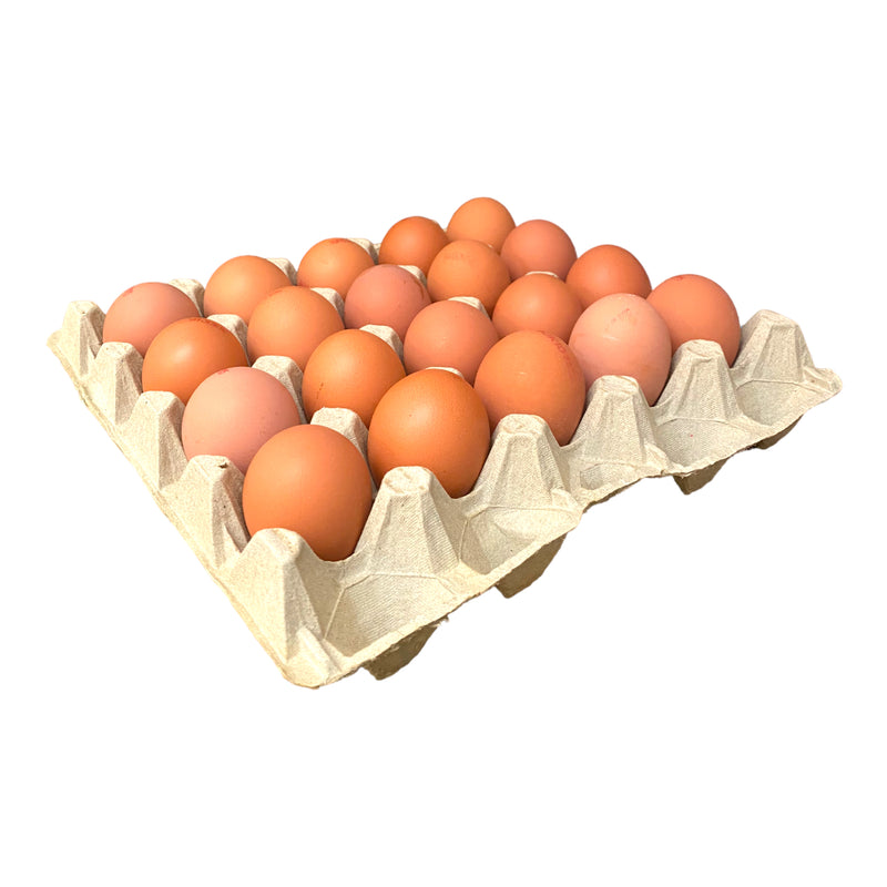 Extra Large Eggs Tray