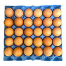 Free Range Large Tray