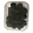 Blackberries Punnet
