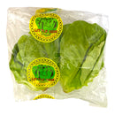 Little Gem - Twin Pack