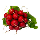 Radish - Bunch