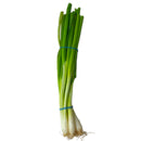 Spring Onions - Bunch