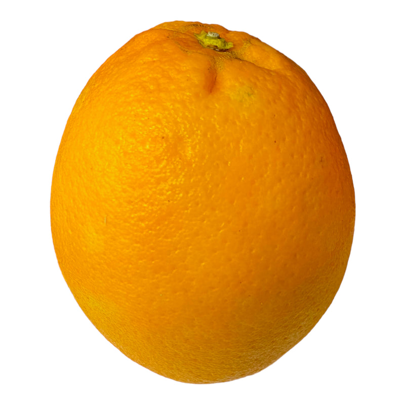 Extra Large Orange - Each