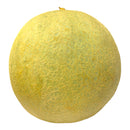 Cantaloupe Melon - Each