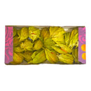 Physalis 100g