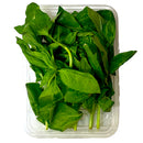 Basil 25g