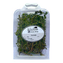 Thyme 25g