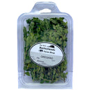 Oregano 25g