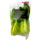 Pak Choi - Twin Pack