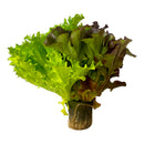 Fresh Salad Trio Mix